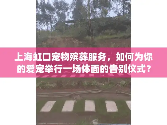 上海虹口宠物殡葬服务，如何为你的爱宠举行一场体面的告别仪式？
