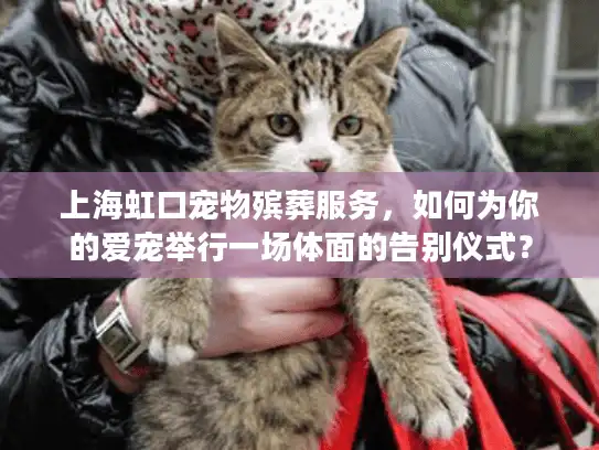 上海虹口宠物殡葬服务，如何为你的爱宠举行一场体面的告别仪式？