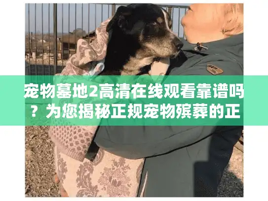 宠物墓地2高清在线观看靠谱吗？为您揭秘正规宠物殡葬的正确选择