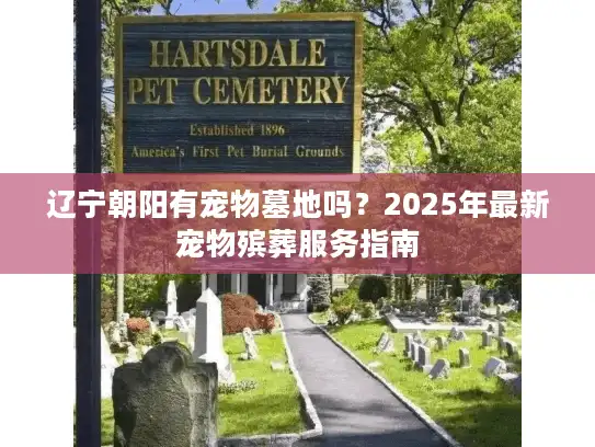 辽宁朝阳有宠物墓地吗？2025年最新宠物殡葬服务指南