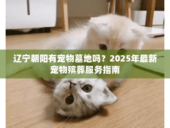 辽宁朝阳有宠物墓地吗？2025年最新宠物殡葬服务指南