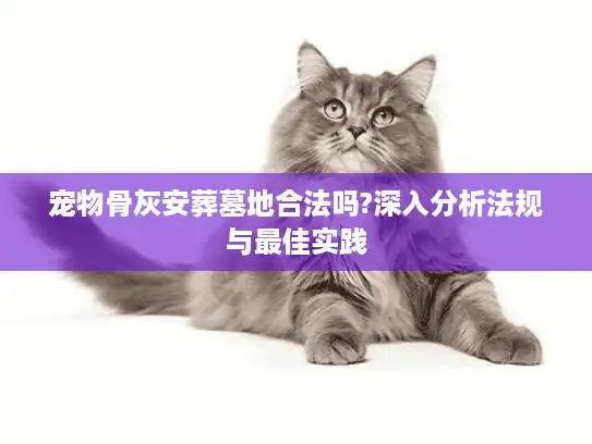 宠物骨灰安葬墓地合法吗?深入分析法规与最佳实践
