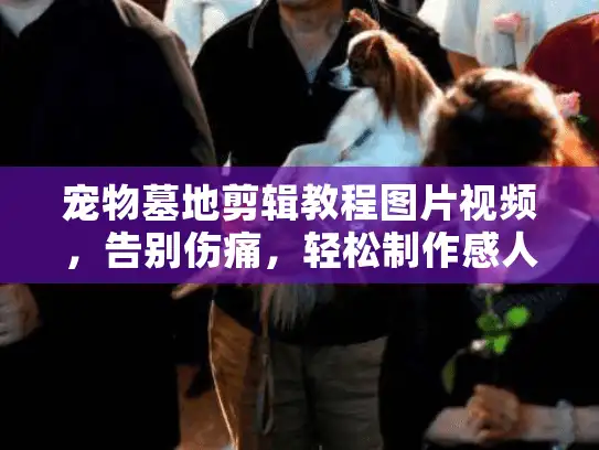 宠物墓地剪辑教程图片视频，告别伤痛，轻松制作感人纪念短片