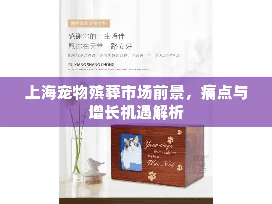 上海宠物殡葬市场前景，痛点与增长机遇解析