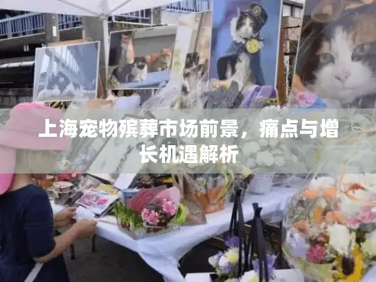 上海宠物殡葬市场前景，痛点与增长机遇解析