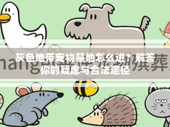 灰色地带宠物墓地怎么进？解答你的疑虑与合法途径