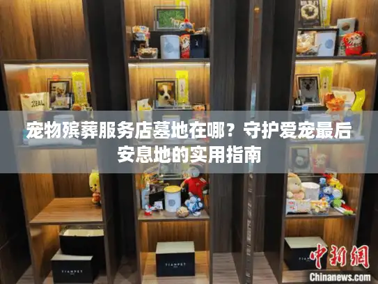 宠物殡葬服务店墓地在哪？守护爱宠最后安息地的实用指南