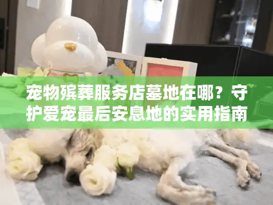 宠物殡葬服务店墓地在哪？守护爱宠最后安息地的实用指南