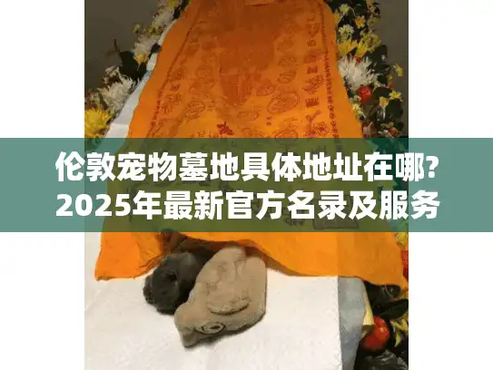 伦敦宠物墓地具体地址在哪?2025年最新官方名录及服务指南
