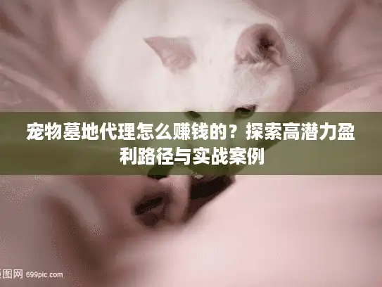 宠物墓地代理怎么赚钱的？探索高潜力盈利路径与实战案例