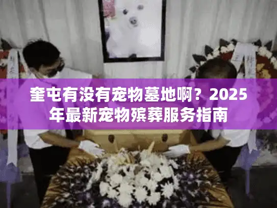 奎屯有没有宠物墓地啊？2025年最新宠物殡葬服务指南