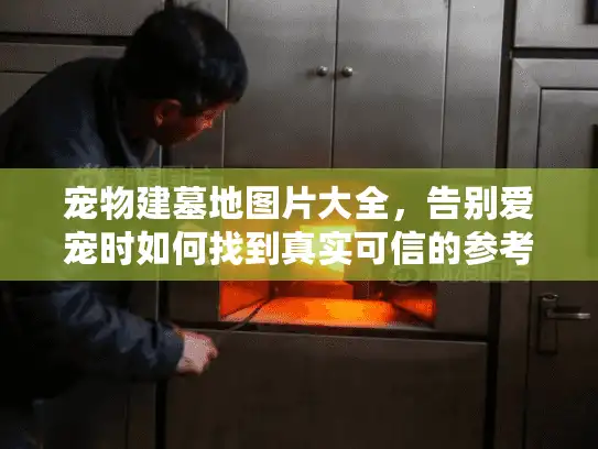 宠物建墓地图片大全，告别爱宠时如何找到真实可信的参考图