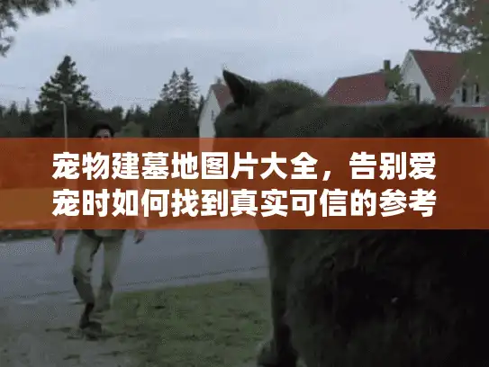 宠物建墓地图片大全，告别爱宠时如何找到真实可信的参考图