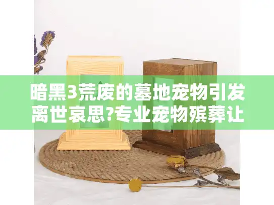 暗黑3荒废的墓地宠物引发离世哀思?专业宠物殡葬让告别更温暖