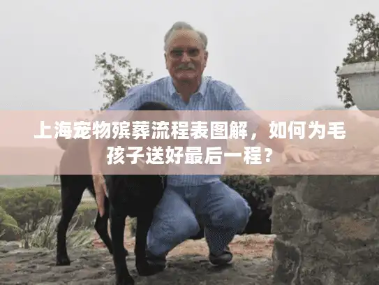 上海宠物殡葬流程表图解，如何为毛孩子送好最后一程？