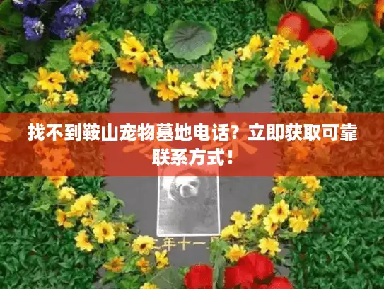 找不到鞍山宠物墓地电话？立即获取可靠联系方式！