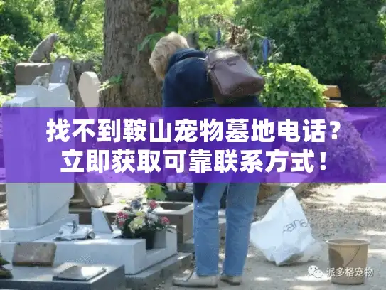 找不到鞍山宠物墓地电话？立即获取可靠联系方式！