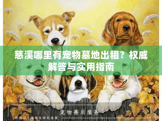 慈溪哪里有宠物墓地出租？权威解答与实用指南