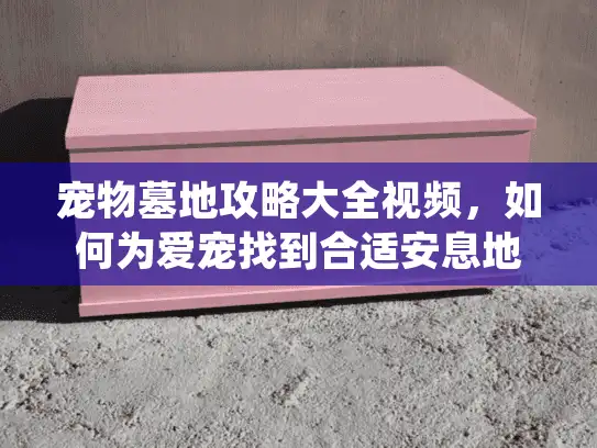 宠物墓地攻略大全视频，如何为爱宠找到合适安息地并避开常见陷阱?