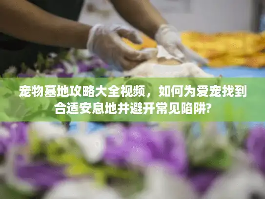 宠物墓地攻略大全视频，如何为爱宠找到合适安息地并避开常见陷阱?