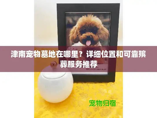津南宠物墓地在哪里？详细位置和可靠殡葬服务推荐