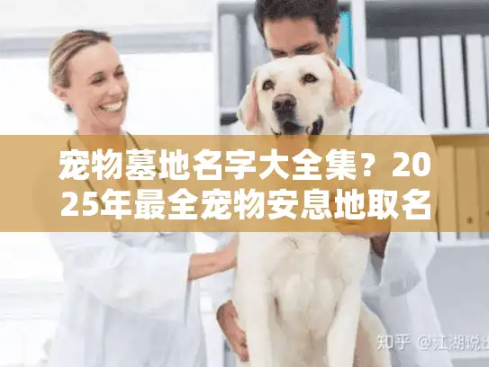 宠物墓地名字大全集？2025年最全宠物安息地取名指南与实用建议