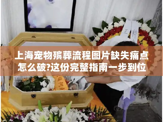 上海宠物殡葬流程图片缺失痛点怎么破?这份完整指南一步到位