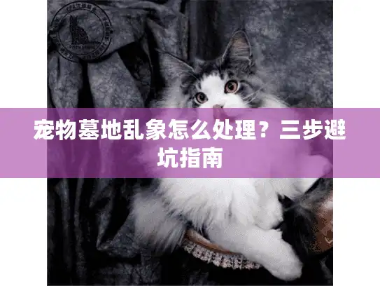 宠物墓地乱象怎么处理？三步避坑指南