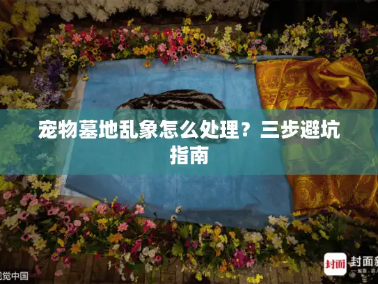 宠物墓地乱象怎么处理？三步避坑指南