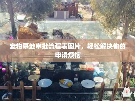 宠物墓地审批流程表图片，轻松解决你的申请烦恼