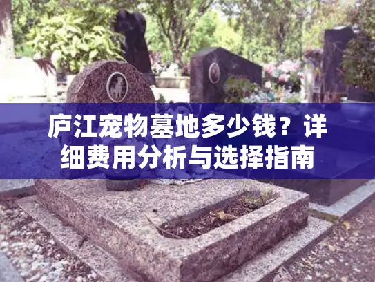 庐江宠物墓地多少钱？详细费用分析与选择指南