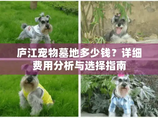 庐江宠物墓地多少钱？详细费用分析与选择指南