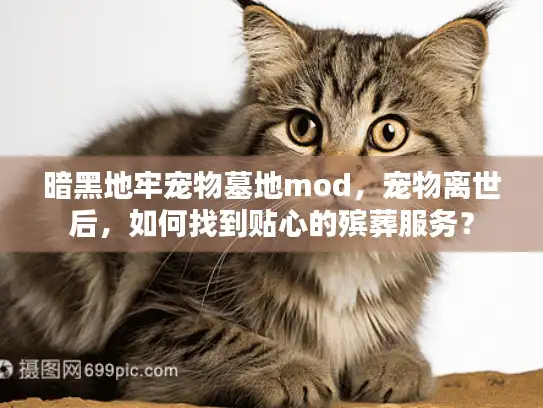 暗黑地牢宠物墓地mod，宠物离世后，如何找到贴心的殡葬服务？