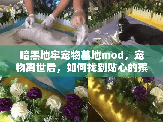 暗黑地牢宠物墓地mod，宠物离世后，如何找到贴心的殡葬服务？