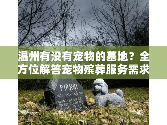 温州有没有宠物的墓地？全方位解答宠物殡葬服务需求