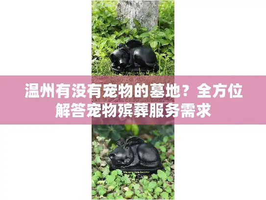 温州有没有宠物的墓地？全方位解答宠物殡葬服务需求