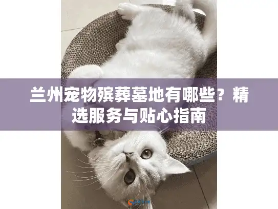 兰州宠物殡葬墓地有哪些？精选服务与贴心指南