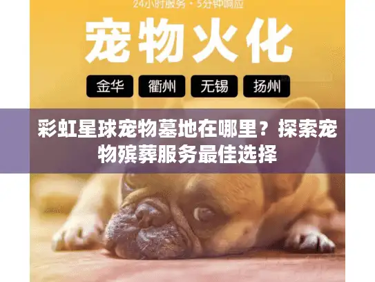 彩虹星球宠物墓地在哪里？探索宠物殡葬服务最佳选择