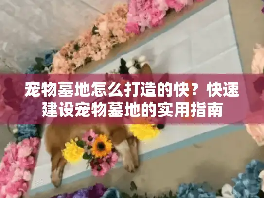 宠物墓地怎么打造的快？快速建设宠物墓地的实用指南