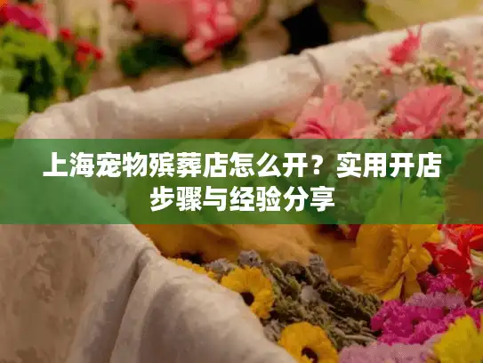 上海宠物殡葬店怎么开？实用开店步骤与经验分享
