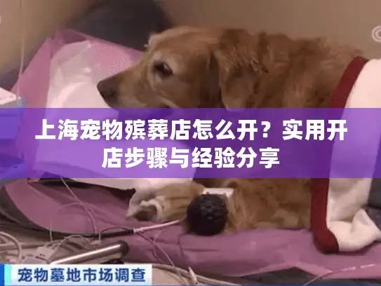 上海宠物殡葬店怎么开？实用开店步骤与经验分享