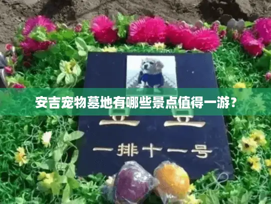 安吉宠物墓地有哪些景点值得一游？