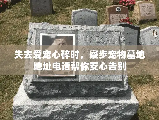 失去爱宠心碎时，寮步宠物墓地地址电话帮你安心告别