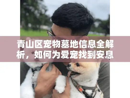 青山区宠物墓地信息全解析，如何为爱宠找到安息之所