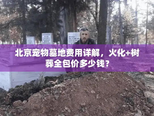 北京宠物墓地费用详解，火化+树葬全包价多少钱？