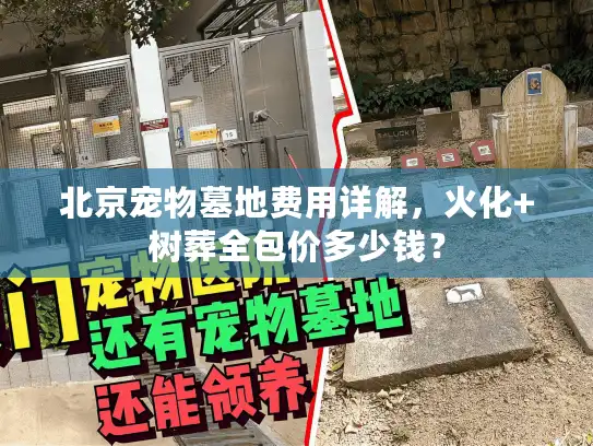北京宠物墓地费用详解，火化+树葬全包价多少钱？