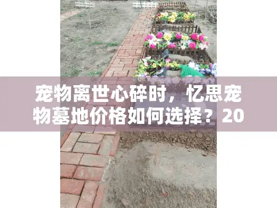 宠物离世心碎时，忆思宠物墓地价格如何选择？2025年省钱方案揭秘