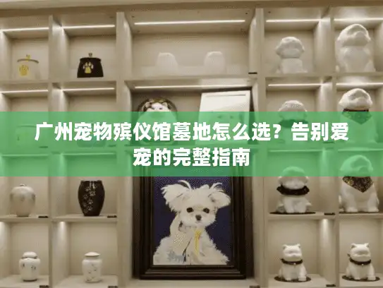 广州宠物殡仪馆墓地怎么选？告别爱宠的完整指南