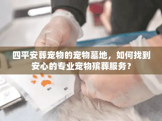 四平安葬宠物的宠物墓地，如何找到安心的专业宠物殡葬服务？