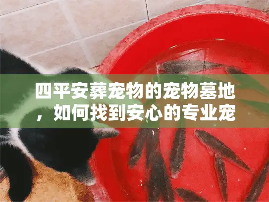 四平安葬宠物的宠物墓地，如何找到安心的专业宠物殡葬服务？